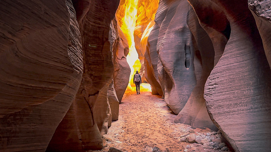 The Narrow Path to a New Bull Market 