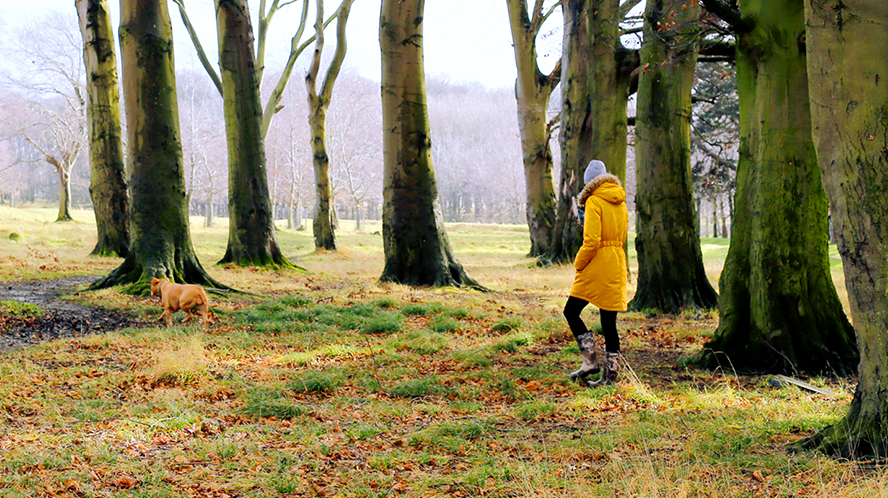 Goals-Based Planning: Stay on Track 
