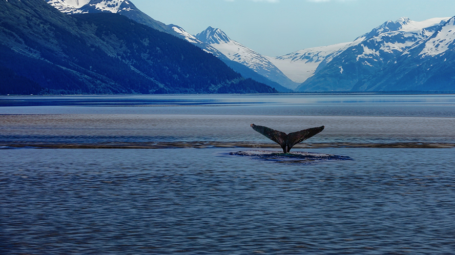 4 Ways Investors Can Act on Climate Change